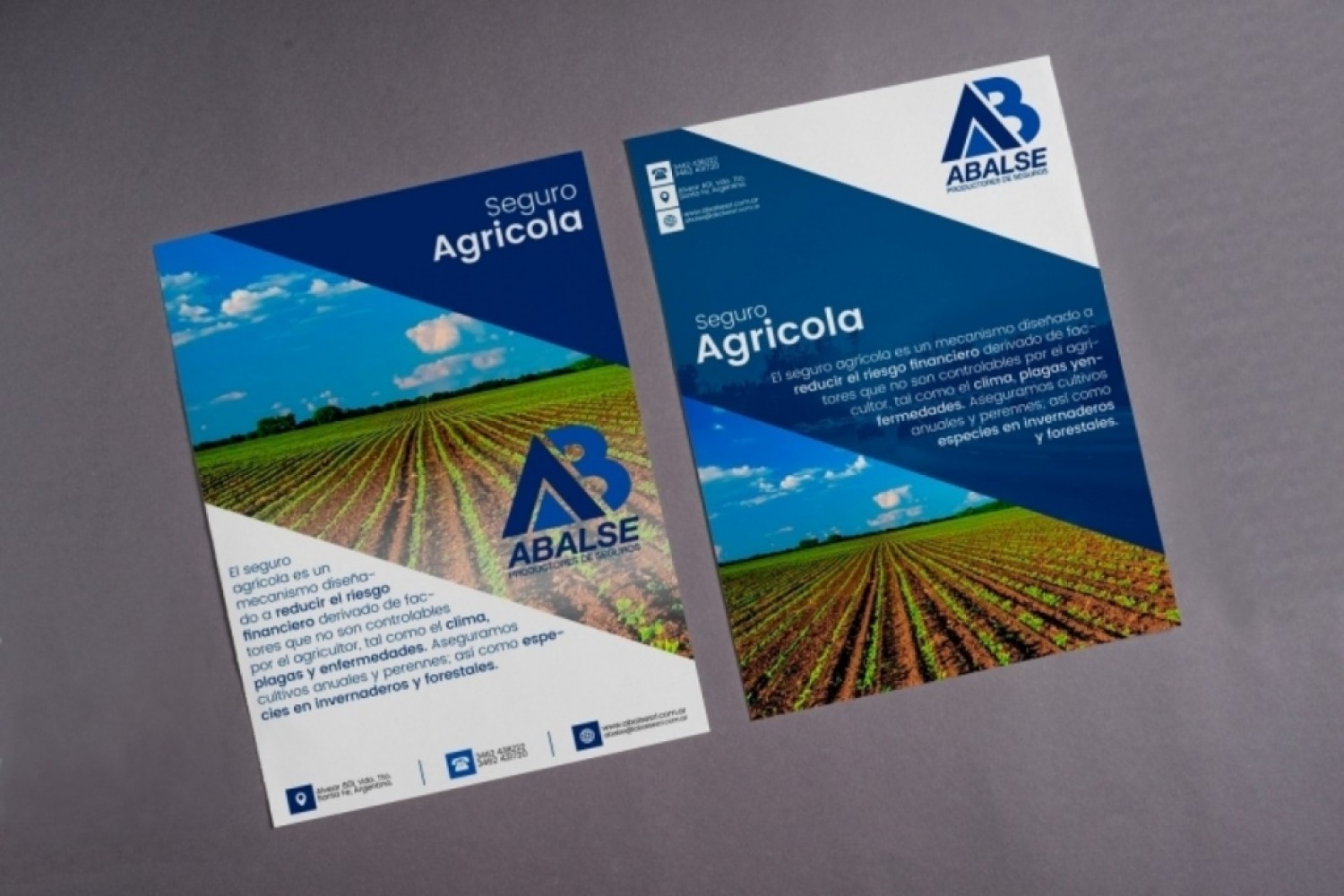 branding-abalse-srl